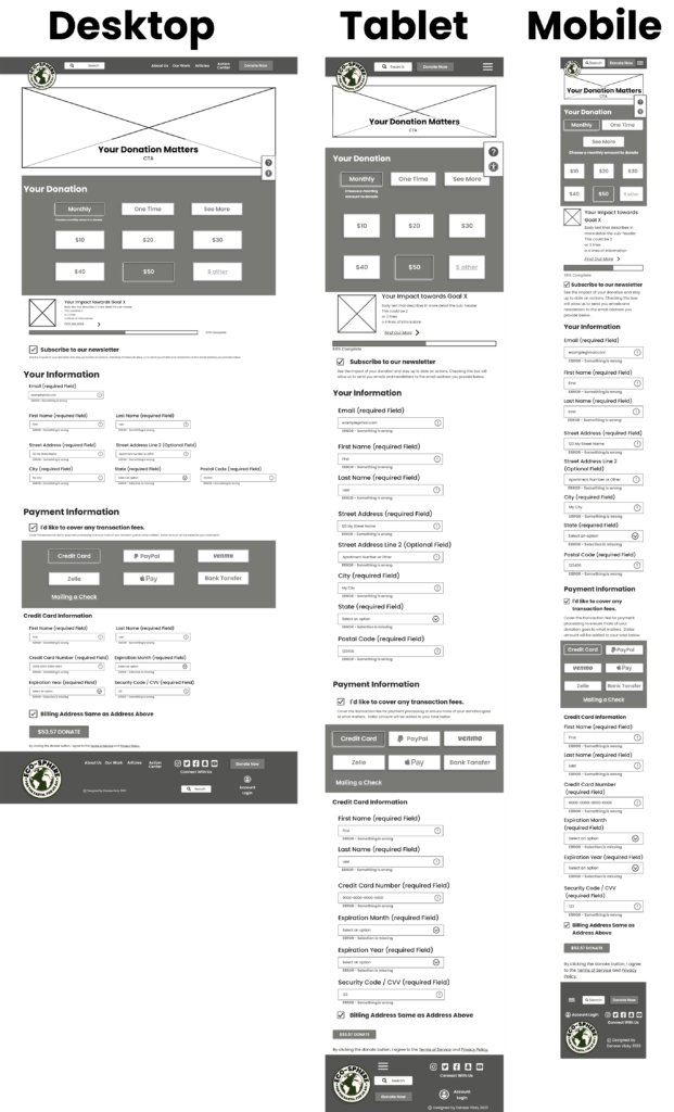 Donate Screens Low Fidelity Wireframes